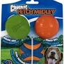 ChuckIt! Fetch Medley