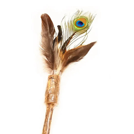 Define Planet Peacock Feather on Silver Vine